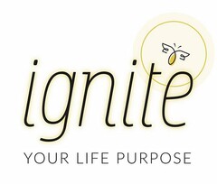 IGNITE YOUR LIFE PURPOSE