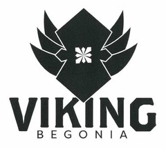 VIKING BEGONIA