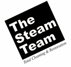 THE STEAM TEAM TOTAL CLEANING & RESTORATION