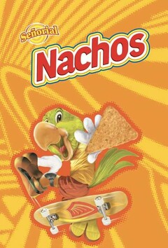 SEÑORIAL NACHOS