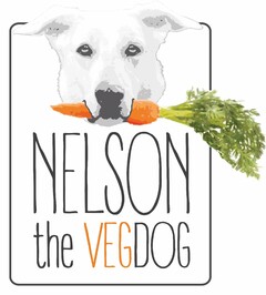 NELSON THE VEGDOG