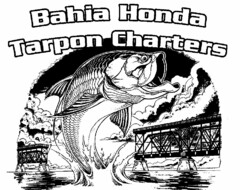 BAHIA HONDA TARPON CHARTERS