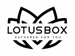 LOTUS BOX GATHERED FOR YOU