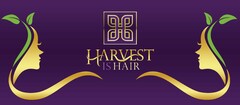 HARVEST IS HAIR H