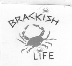 BRACKISH LIFE WWW.THEBRACKISHLIFE.COM