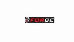 FORGE