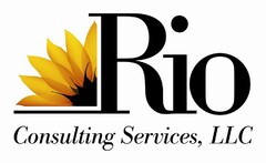 RIO CONSULTING SERVICES, LLC