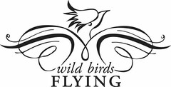 WILD BIRDS FLYING