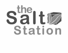 THE SALT STATION