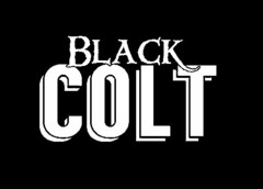 BLACK COLT
