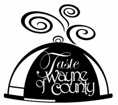 TASTE OF WAYNE COUNTY