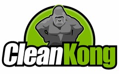 CLEANKONG