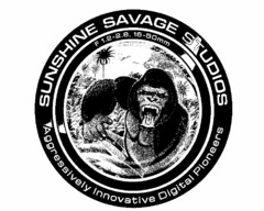 SUNSHINE SAVAGE STUDIOS F 1.2-2.8 16-50MM AGGRESSIVELY INNOVATIVE DIGITAL PIONEERS