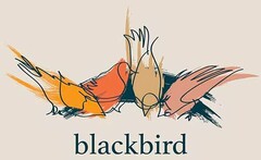 BLACKBIRD