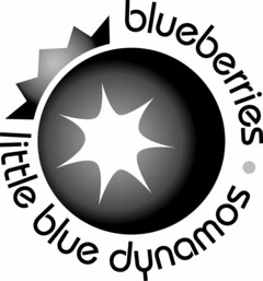 BLUEBERRIES LITTLE BLUE DYNAMOS