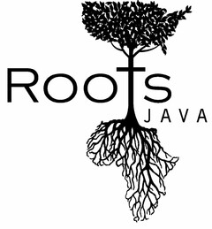 ROOTS JAVA