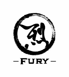 FURY