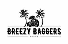 BREEZY BAGGERS