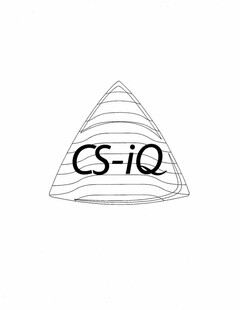 CS-IQ
