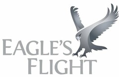 EAGLE'S FLIGHT