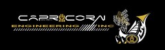 CAPRICORN ENGINEERING INC ANNO MMXII