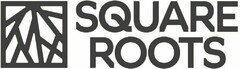 SQUARE ROOTS