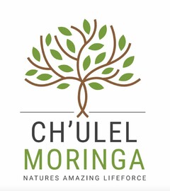 CH'ULEL MORINGA NATURES AMAZING LIFE FORCE