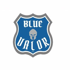 A BADGE WITH A THICK GRAY OUTLINE, FOLLOWED BY AN OUTLINE OF THE BACKGROUND COLOR OF WHITE, THE BODY AND BACKGROUND OF THE BADGE IN BLUE WITH THE WORDS BLUE VALOR IN CAPITAL LETTERS AND A GRAY WARRIOR MASK IN BETWEEN THE WORDS.