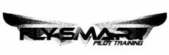 FLY SMART PILOT TRAINING