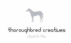 THOROUGHBRED CREATIVES BRED TO WIN