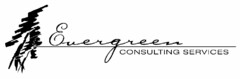 EVERGREEN CONSULTING SERVICES