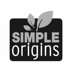 SIMPLE ORIGINS