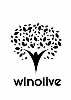 WINOLIVE