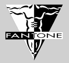 FANTONE