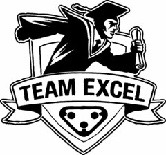 TEAM EXCEL