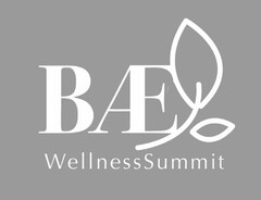 BAE WELLNESS SUMMIT