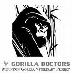 GORILLA DOCTORS MOUNTAIN GORILLA VETERINARY PROJECT