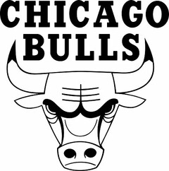 CHICAGO BULLS