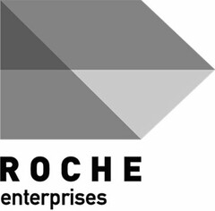 ROCHE ENTERPRISES