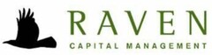 RAVEN CAPITAL MANAGEMENT