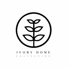 IVORY HOME COLLECTION