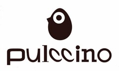 PULCCINO