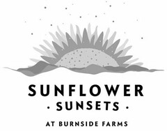 SUNFLOWER SUNSETS AT BURNSIDE FARMS