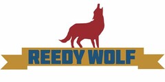 REEDY WOLF