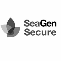 SEAGEN SECURE