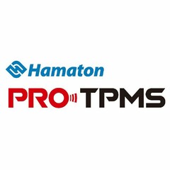 HAMATON PROTPMS