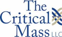 THE CRITICAL MASS LLC