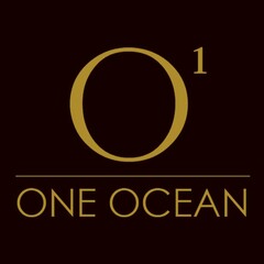 O1 ONE OCEAN