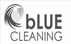 BLUE CLEANING