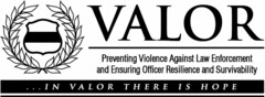 VALOR PREVENTING VIOLENCE AGAINST LAW ENFORCEMENT AND ENSURING OFFICER RESILIENCE AND SURVIVABILITY ... IN VALOR THERE IS HOPE
